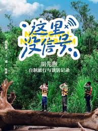 这里没信号